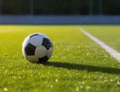 天津津門虎,足球俱乐部,概述,星空体育,XingKong,星空体育网址,星空app,星空官网,星空集团