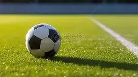 天津津門虎足球俱乐部概述